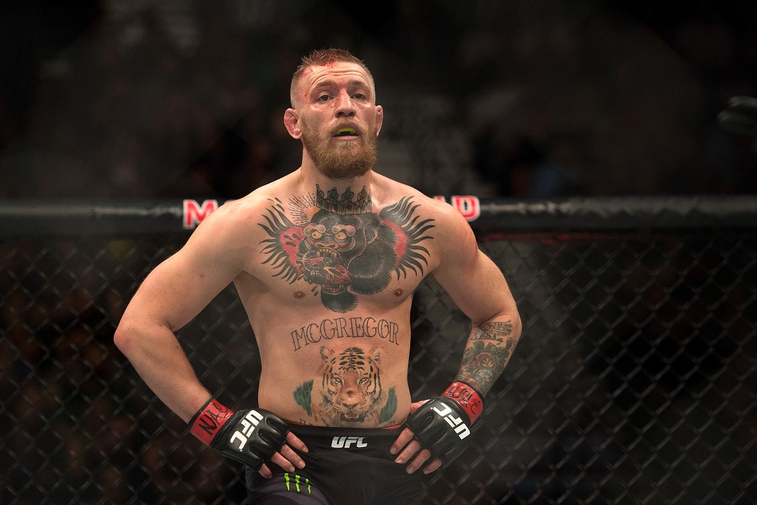 Conor McGregor – Nate Diaz H 1,78