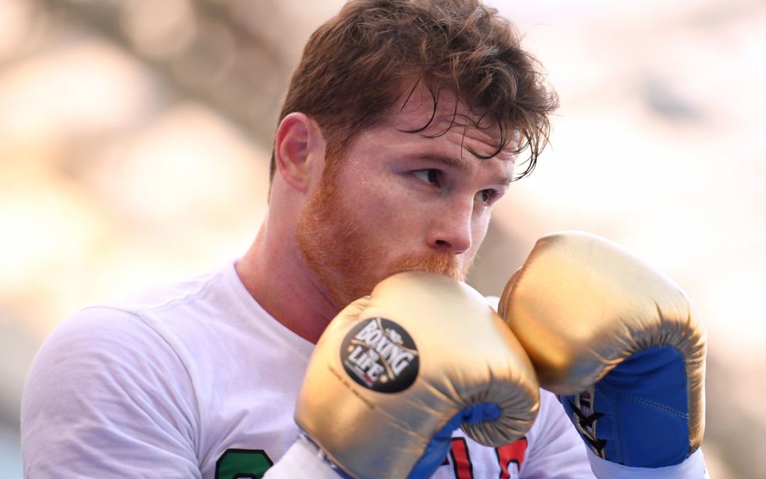 Golovkin – Alvarez V 2,50